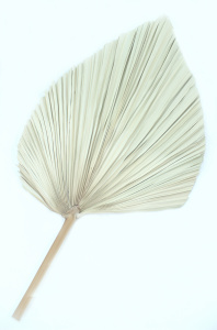Пальмовый лист декоративный, 70 см Натуральный