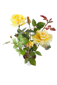 Растение искусственное Роза желтая в кашпо h=57 см