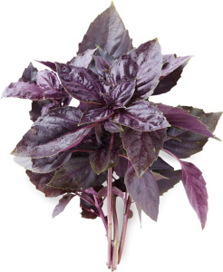 Семена Базилик смесь зеленого и фиолетового 0,4 г