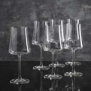 Набор бокалов для вина BOHEMIA CRYSTAL Экстра 40862 460мл 6шт