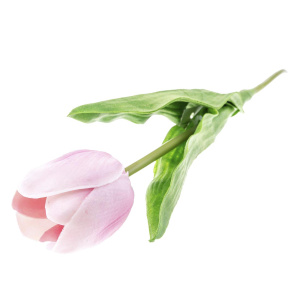 Растение искусственное Тюльпан h52см розовый