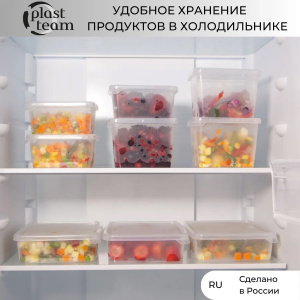 Набор контейнеров для заморозки PLAST TEAM Frozen 900мл 3шт