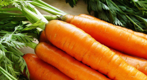Семена Морковь (Лента) Ромоса 8 шт
