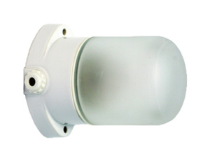 Светильник TDM НПБ400 для сауны Е27 60W белый IP54