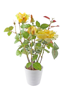 Растение искусственное Роза желтая в кашпо h=57 см