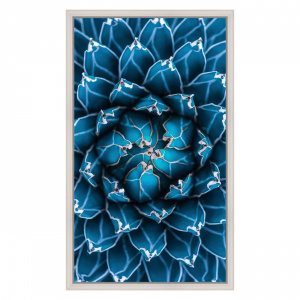 Картина в багете Экорамка 30x50см, Синий суккулент BE-103-239