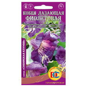 Семена Кобея лазающая Фиолетовая  0,2гр Ц/П