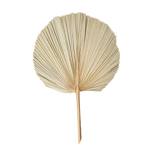 Пальмовый лист декоративный, 60см Натуральный