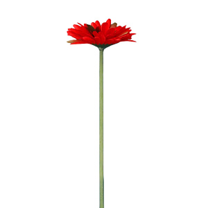 Цветок искусственный ФЕНИКС-ПРЕЗЕНТ Красная Гербера 88289 55х10х10см
