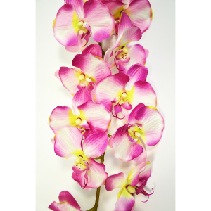 Растение искусственное GREEN BELT Орхидея Фаленопсис персиковая